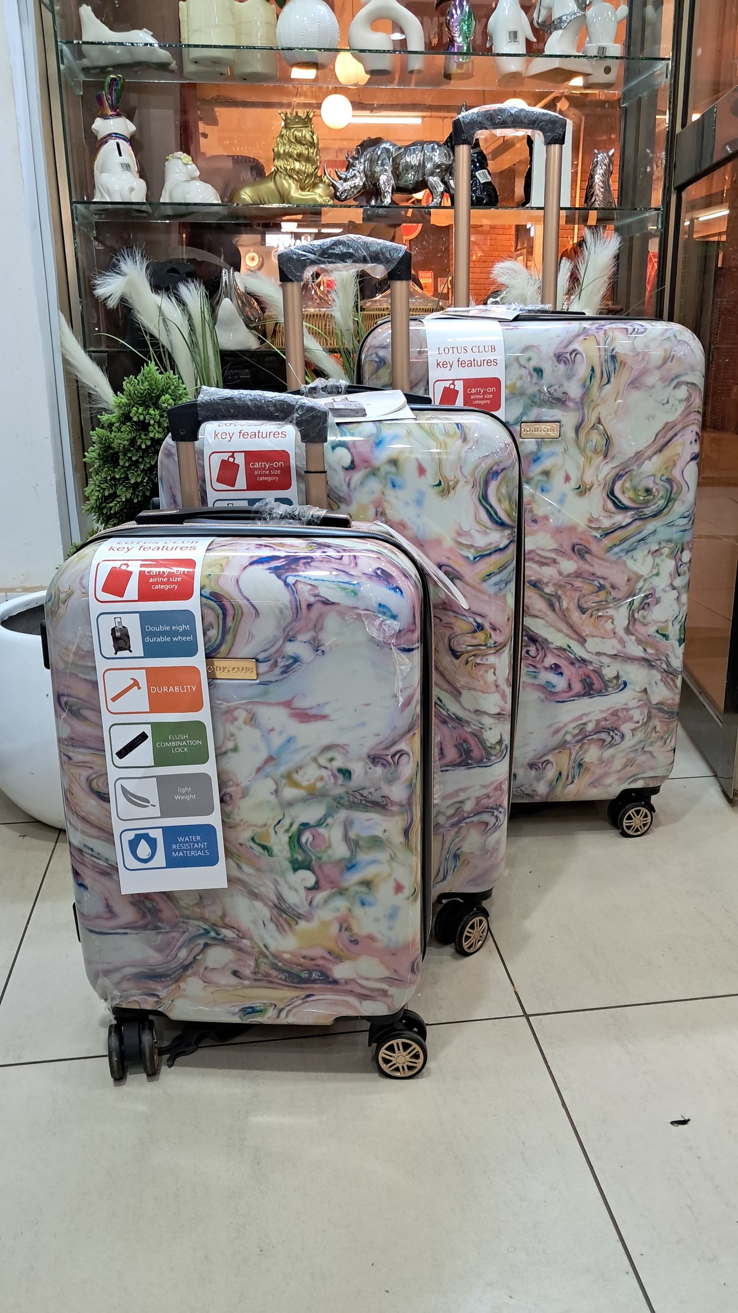 Fashion Carry-On Luggage Set